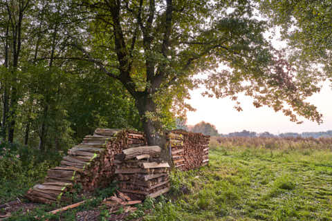 Gemeinde Neuötting Landkreis Altötting Pallaufstraße Pilgerstation Umgebung (Dirschl Johann) Deutschland AÖ